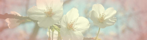 2026スプリングセール！